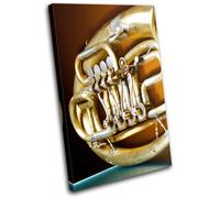 Vintage French Horn Musical brass Instruments Canvas Art Picture Print Photo