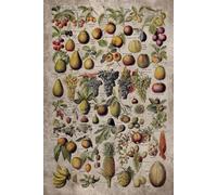 Vintage Fruits and Nuts 2025 Planner Weekly and Monthly: Minimalist Calendar Organizers, goal, to do list