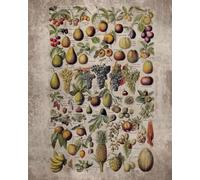 Vintage Fruits and Nuts 2025 Teacher Planner Weekly and Monthly: Minimalist Lesson Record, Calendar Organizers, goal, to do list