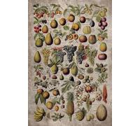 Vintage Fruits and Nuts 2026 Planner Weekly and Monthly: Minimalist Calendar Organizers, goal, to do list