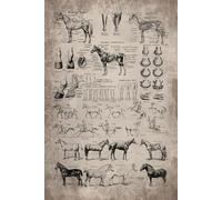 Vintage Horse 2026 Planner Weekly and Monthly: Minimalist Calendar Organizers, goal, to do list