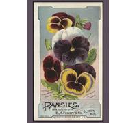 Vintage Pansy Journal: A Beautiful 6 x 9 Lined Journal Notebook featuring Vintage Botanical Illustrations