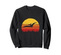 Vintage Pterodactyl Dinosaur Retro Sun Felpa