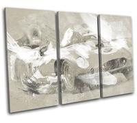 Vintage Racer Paint Abstract Cars TREBLE TELA parete arte foto stampa