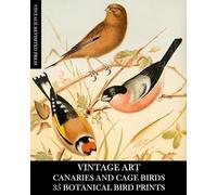 Vintage Revisited Press Vintage Art (Tascabile)