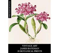 Vintage Revisited Press Vintage Art (Tascabile)