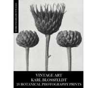 Vintage Revisited Press Vintage Art (Tascabile)