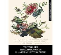 Vintage Revisited Press Vintage Art (Tascabile)