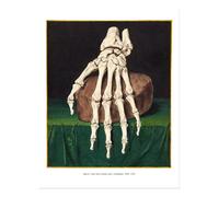 Vintage scheletro mano arte da parete decorazione anatomia classica