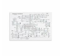Vintage Science Chart, Biochemistry Metabolic Pathways Diagram, Old School Laboratory Print for Home Office, Den, Man Cave, Nerd Decor Gift(Framed,16x24inch(40x60cm))