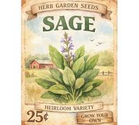 Vintage Seed Packet Sage Design Notebook: 8 1/2 x 11 120 Page College Ruled Composition