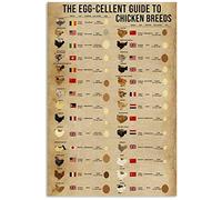Vintage The Egg Cellent ?Guida alla razza di polli Poster in metallo e alluminio Targa in latta 8x12 pollici Decorazione da parete