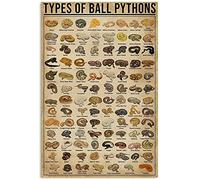 Vintage Typ of Ball Pythons World Education Science Poster Metal Aluminium Tin Sign 8x12 pollici Wall Decor