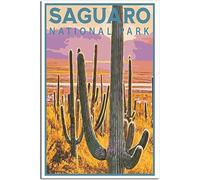 Vintage Viaggio Poster Saguaro National Park Retro Wall Art Tela Poster Art Print Casa Decorazione Camera Decorazione Non incorniciato 40x60cm