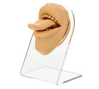 VINTORKY Faccia Finta in Silicone con Supporto Pratica di Piercing alla Bocca e Parte del Corpo Flessibile per Simulazioni e Esercitazioni di Piercing alla Lingua Espositore di Viso