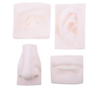 VINTORKY Modello di Organi di Senso Decorativo in PVC Indistruttibile, Set da 4 Pezzi per Pratica di Schizzo e Scultura, Ornamento da Scrivania Compatto per Studenti e Artisti, Decorazione