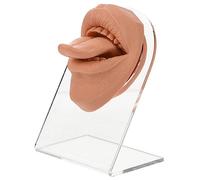 VINTORKY Viso Finto in Silicone Con Supporto Pratica Di Piercing Alla Bocca Lingua Parte Del Corpo Flessibile Per Esercitazioni Di Piercing Esposizione Di Gioielli Faccia Simulata Per Didat