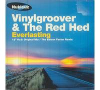 Vinylgroover & the Red Hed - Everlasting