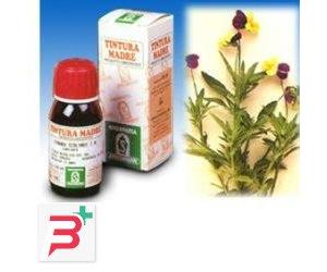 VIOLA DEL PENSIERO 32 50ML TM