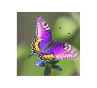 Viola Farfalla Modello Stampa Blocco di Mattoni Puzzle Quadrato Creativo Building Blocks Puzzle Casa Scrivania Decor