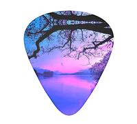 Viola tramonto sull'acqua Plettri per chitarra Set da 12 set di regalo per chitarra per bassi plettri per chitarre acustiche con scatola trasparente