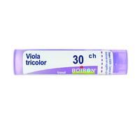 Viola Tricolor 30 Ch Tubo 2020