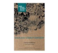 Violacciocca 'Scarlet Emperor' (Erysimum cheiri) 60 semi pianta perenne biennale a fioritura primaverile per il giardino di casa fiore reciso pianta profumata