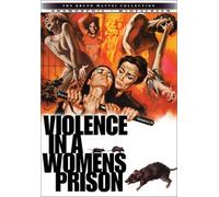Violence in a Women S Prison