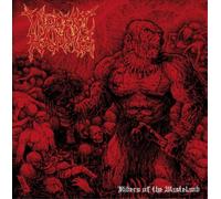 Violent Hammer Riders of the Wasteland (Vinyl LP) 12" Album