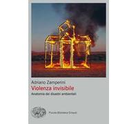 Violenza invisibile. Anatomia dei disastri ambientali
