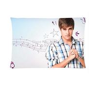 Violetta Leon Fans Pillowcase(Copricuscini e federe)Custom 20x30 Inch Pillow Case