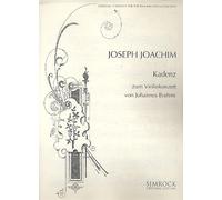 Violin Concerto D Major: Cadenza. op. 77. violin and orchestra.