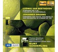 Violin Concerto/symphony No. 6 (Sanderling, Zehetmair) (CD) Album