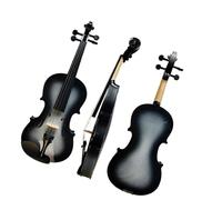 Violini Custodia leggera di qualità fatta a mano Facile da trasportare Violino acustico colorato di bella voce 4/4