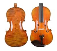Violini Esecuzione di un ottimo strumento per violino