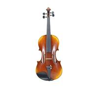 Violini In Acero Fiammato Violino Antico Fatto A Mano Con Vernice Oleosa Con Set Completo Di Parti Per Violinista Professionista