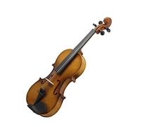 Violini per Studenti Nuovo Strumento Musicale Per Violino In Tiglio Pratica Per Principianti Suonare Il Violino Con Accessori In Scatola Professionale Violino (Color : 1/2)