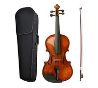 Violini per Studenti Principiante Violino Acustico 4/4 Strumento Musicale Violino/violino Con Set Di Custodia Professionale Violino