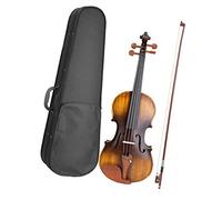 Violini per Studenti Violino Professionale Elettroacustico Opaco 4/4 Con Accessori In Legno Di Giuggiola Custodia Arco Corde Extra Professionale Violino