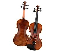 Violini per Studenti Violino Professionale In Legno Di Abete Rosso E Acero Con Astuccio Set Di Strumenti A Corda Per Adulti Professionale Violino (Color : 1/2)