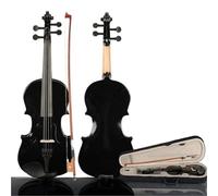 Violini Professionali Custodia Per Violino Acustico Con Archetto Strumento Musicale Professionale Nero