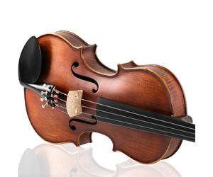 Violini Professionali Principianti Che Suonano Il Violino Pratica E Introduzione Alle Prestazioni(3/4)