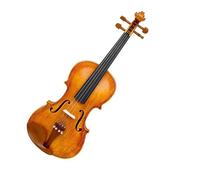 Violini Violino 4/4 di dimensioni standard in acero di qualità artigianale per principianti(Type 2)
