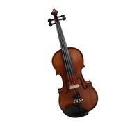 Violini Violino d epoca realizzato artigianalmente da professionisti con un suono meraviglioso