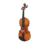 Violino 4/4 1/4 1/8 Acustico In Legno Massello Fiddle Tiglio Violino Kit Strumento A Corde Con Custodia Bow Stand (Color : 4-4 Violin)