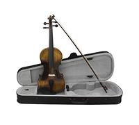 Violino 4/4 4 String String Strument Fiddle Classico Acustico Con Set Di Accessori Per Strumenti Violino (Color : A)