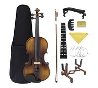 Violino 4/4 Acustico In Legno Massello Violino Abete Rosso Acero Strumento A Corde Per Violino Principiante Con Custodia Per Arco Corde Per Supporto (Color : 4/4 Violin Set)
