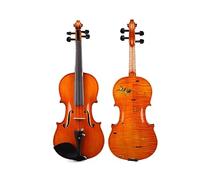 Violino 4/4 Con Intarsio Di Anatra Mandarina Custodia E Archetto Senza Violino 4/4