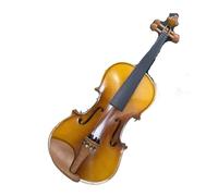 Violino 4/4 In Acero Naturale Striato Antico Fatto A Mano Con Componenti In Legno Di Giuggiolo Perfetto Per I Principianti. Violino