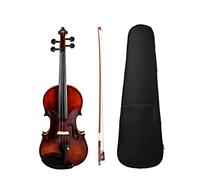 Violino 4/4 Solidwood Set Di Violino Acustico Set Tacchetta Con Custodia Su Tela/Arco/Ponte Violino
